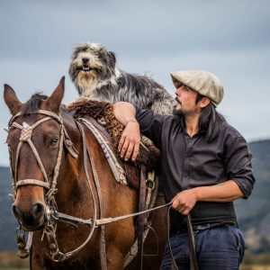 Enrique Bascur with his dog Gaucho, on horseback too